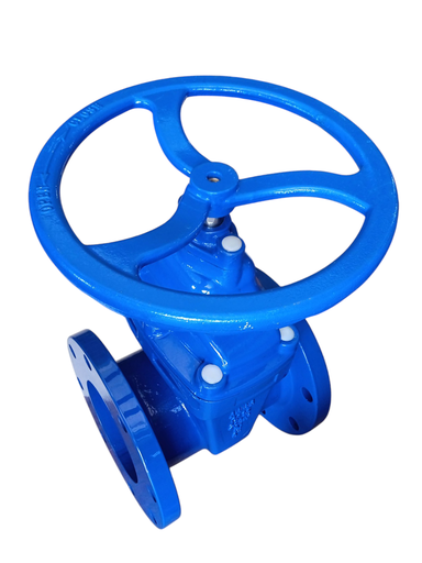 [vcff04] CHECK PICHANCHA C/RESORTE PVC/EPDM 3" LATON MALLA